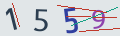 verifycode